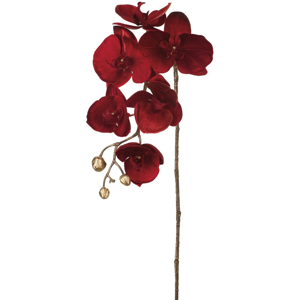 31" Red Velvet Phalaenopsis Spray