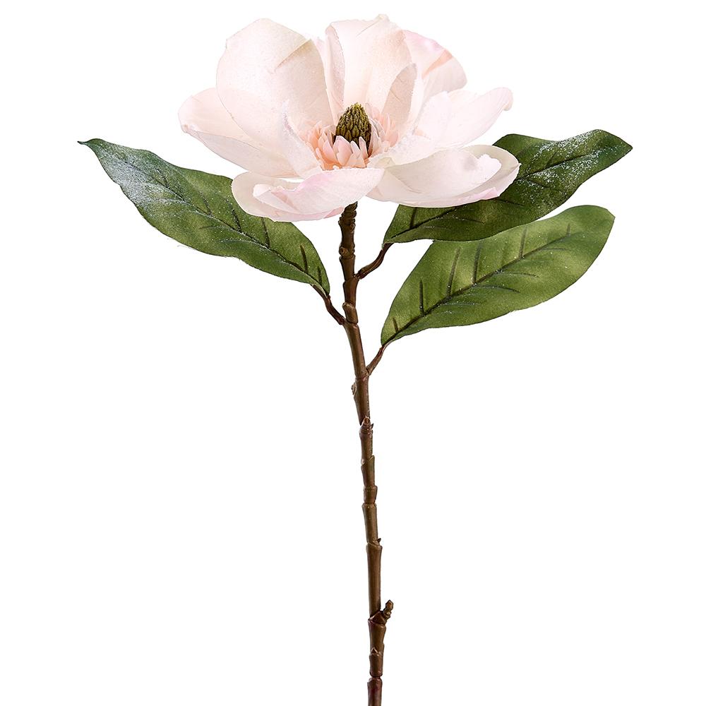 29" Pink Snow Magnolia