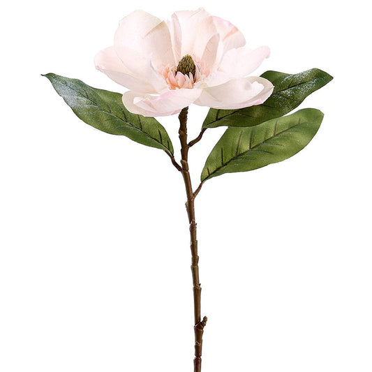 29" Pink Snow Magnolia