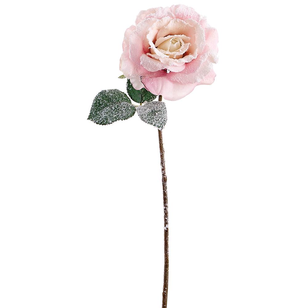 Pink rose stem with a snowed, frosted finish.