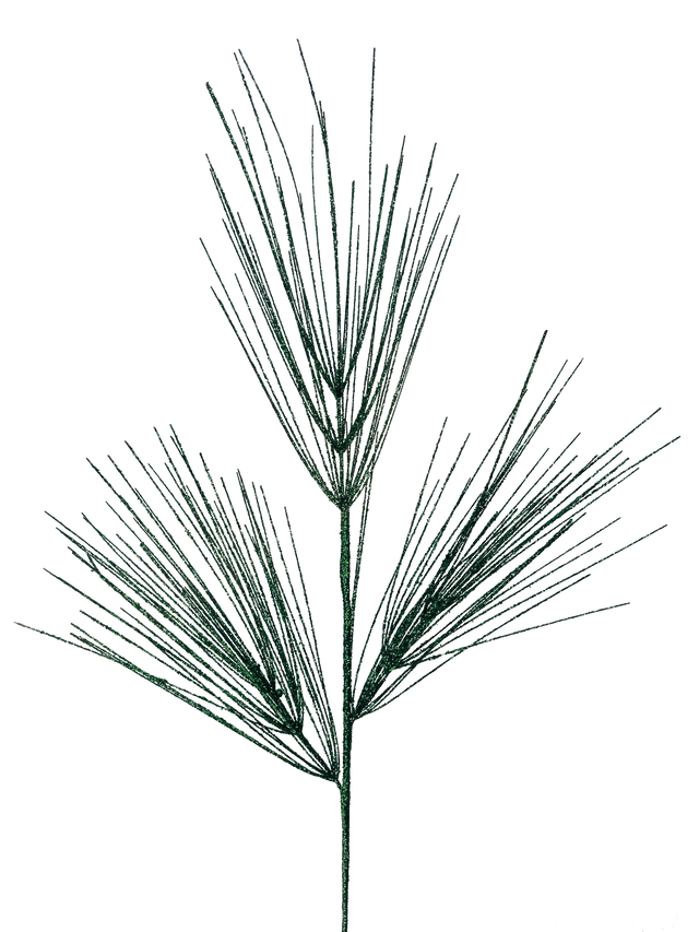 Emerald pine spray with long arching needles.