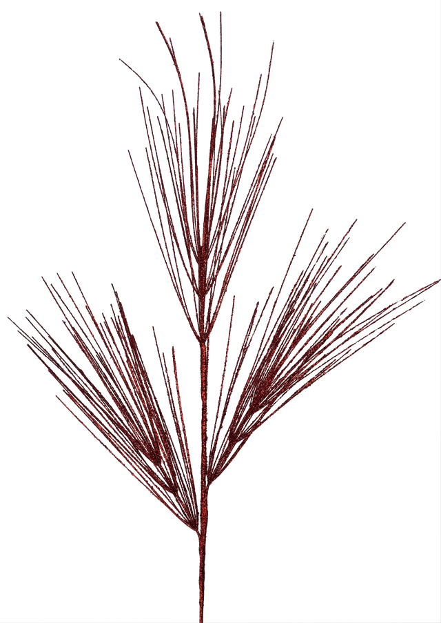 Red pine spray with full feathery branches.