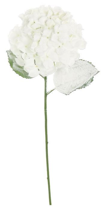 Frosted hydrangea spray with full blooms.