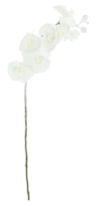 White frosted phalaenopsis spray, 40 inch, for Christmas decorating