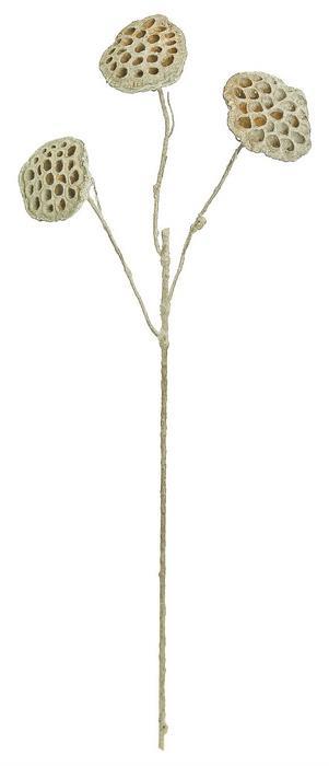 Frosted stem with a frosted sculptural lotus pod head.