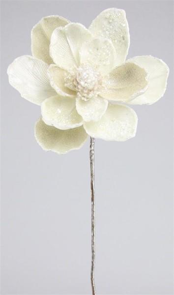 Pearl magnolia stem.
