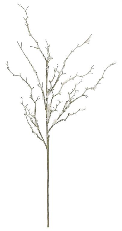 Spray with snow twig branch detail.