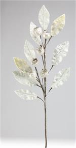 White magnolia spray with icy frosted leaves and berries.
