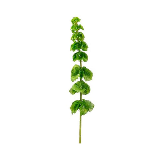 Green stem with bells of ireland detail.