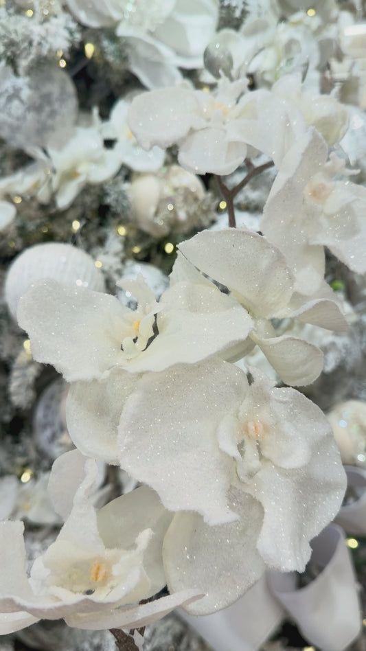 40" Phalaenopsis Frosted